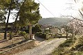 Stunning 7 Bed 8 Bath Finca in Alcoy in Daft on Spain 