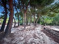 Magnificent country house with renovation potential in Almansa in Daft on Spain 