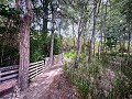 Magnificent country house with renovation potential in Almansa in Daft on Spain 