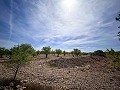 Magnificent country house with renovation potential in Almansa in Daft on Spain 