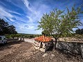 Magnificent country house with renovation potential in Almansa in Daft on Spain 