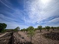 Magnificent country house with renovation potential in Almansa in Daft on Spain 