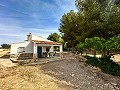 Magnificent country house with renovation potential in Almansa in Daft on Spain 