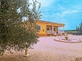 Casa de 3 dormitorios y 2 baños en Torre del Rico in Daft on Spain 