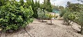 4 Bedroom Cave House For Sale In Xinorlet in Daft on Spain 