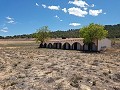 Finca tradicional de 30 habitaciones in Daft on Spain 