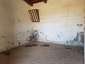 Finca tradicional de 30 habitaciones in Daft on Spain 