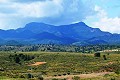 Maison troglodyte de 4 chambres sur un immense terrain in Daft on Spain 