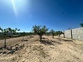 Lovely building plot in Macisvenda in Daft on Spain 