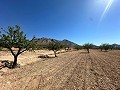 Lovely building plot in Macisvenda in Daft on Spain 