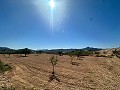 Lovely building plot in Macisvenda in Daft on Spain 