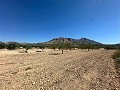 Lovely building plot in Macisvenda in Daft on Spain 
