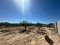 Lovely building plot in Macisvenda in Daft on Spain 