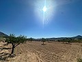 Lovely building plot in Macisvenda in Daft on Spain 