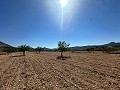 Lovely building plot in Macisvenda in Daft on Spain 