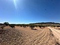 Fantastisches Baugrundstück in Cañada Del Trigo in Daft on Spain 