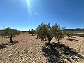 Fantastisches Baugrundstück in Cañada Del Trigo in Daft on Spain 