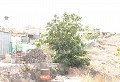 Casa de Pueblo de 4 Dormitorios con Terreno in Daft on Spain 