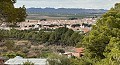3 Bed Cave House near Pinoso in Daft on Spain 