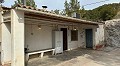 3 Bed Cave House near Pinoso in Daft on Spain 