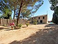 Casa de Campo de 4 Dormitorios a 4 min de Pinoso in Daft on Spain 