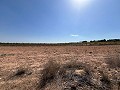 Großes Grundstück mit Olivenbäumen in Daft on Spain 