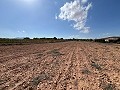 Großes Grundstück mit Olivenbäumen in Daft on Spain 