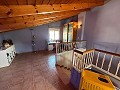 Amazing semi-detached villa in Petrer in Daft on Spain 