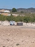 Baugrundstück neben Ubeda in Daft on Spain 