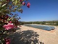 Rolig 3 værelses villa Pinoso in Daft on Spain 
