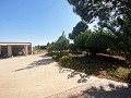 Rolig 3 værelses villa Pinoso in Daft on Spain 