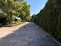 Rolig 3 værelses villa Pinoso in Daft on Spain 