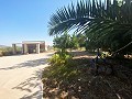 Rolig 3 værelses villa Pinoso in Daft on Spain 