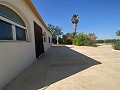 Rolig 3 værelses villa Pinoso in Daft on Spain 