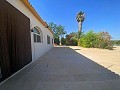 Rolig 3 værelses villa Pinoso in Daft on Spain 