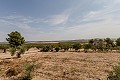 Prachtige vrijstaande villa in Yecla met zwembad en garage in Daft on Spain 