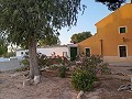 Maison rénovée de 3 chambres à Yecla in Daft on Spain 