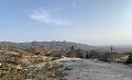 Renovierung eines Reihenhauses mit Garten in Daft on Spain 