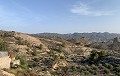 Renovierung eines Reihenhauses mit Garten in Daft on Spain 
