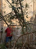 Renovierung eines Reihenhauses mit Garten in Daft on Spain 
