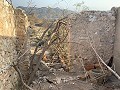 Renovierung eines Reihenhauses mit Garten in Daft on Spain 