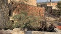 Renovierung eines Reihenhauses mit Garten in Daft on Spain 