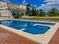 Villa tradicional de lujo en Novelda in Daft on Spain 