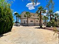 Villa tradicional de lujo en Novelda in Daft on Spain 