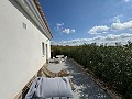 Storslået villa med 5 soveværelser og 4 badeværelser in Daft on Spain 