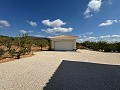 Storslået villa med 5 soveværelser og 4 badeværelser in Daft on Spain 