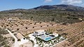 Storslået villa med 5 soveværelser og 4 badeværelser in Daft on Spain 