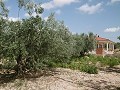 Geweldige villa op 4 km van Yecla in Daft on Spain 