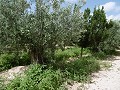 Geweldige villa op 4 km van Yecla in Daft on Spain 