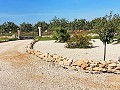 Villa Pinoso de 3 chambres et 2 salles de bains in Daft on Spain 